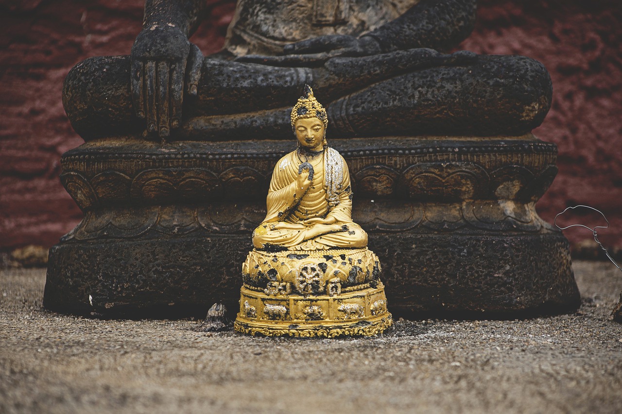 外國演員曹操，跨界之旅與藝術(shù)人生的多維探索